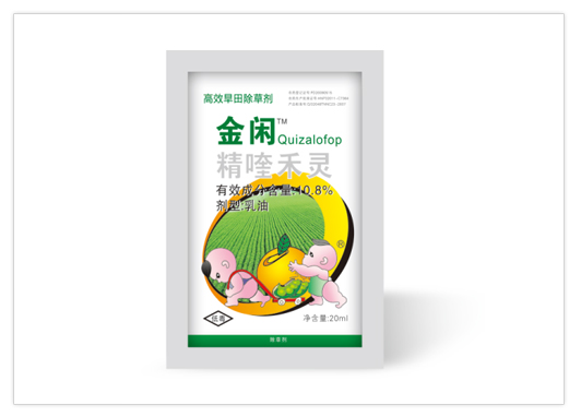金闲大图.jpg