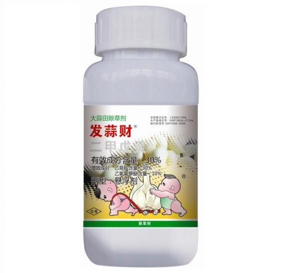 发蒜财.jpg
