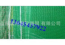 密目网