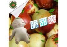 孕妇水果冬枣