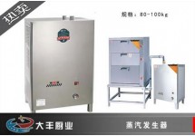 蒸汽发生器