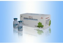 猪链球菌病蜂胶灭活疫苗（马链球菌兽疫亚种+猪链球2型）