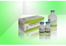 兔病毒性出血症多杀性巴氏杆菌病二联蜂胶灭活疫苗YT株+JN株