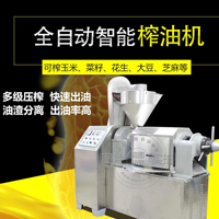 100型带电机经济实用型榨油机