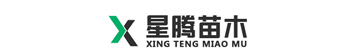无棣星腾苗木有限公司