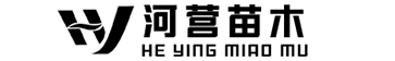 无棣河营苗木种植专业合作社