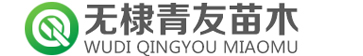 无棣青友苗木种植专业合作社