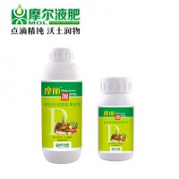摩丽®靓