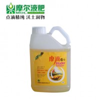 摩滴®6号
